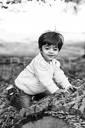 rishie22190