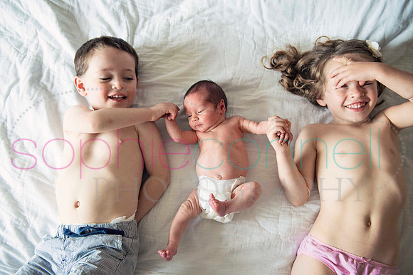 55rose