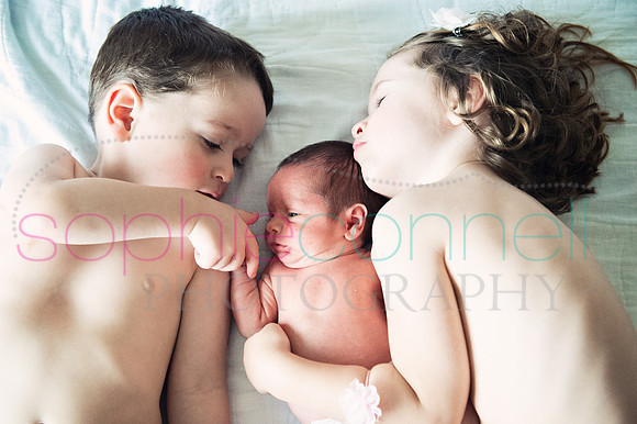 65rose