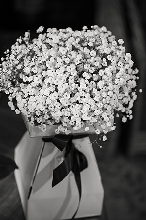 April&Charlie0322