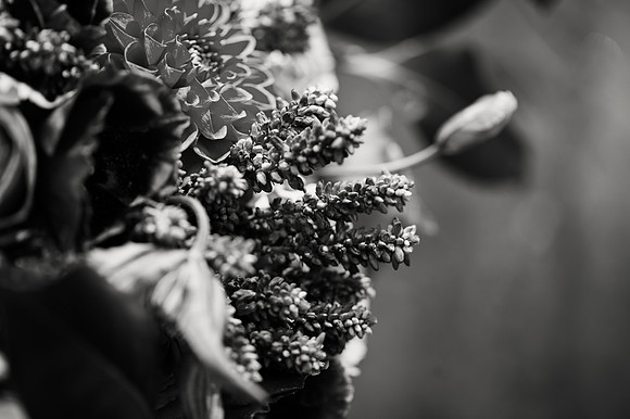April&Charlie0318