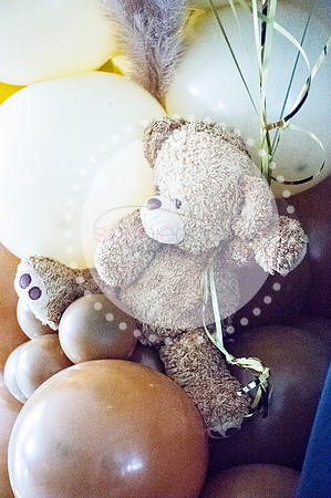 LIABABYSHOWER23027