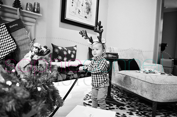 freddie19015