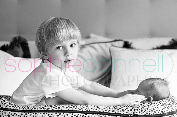 195fran21