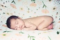 hertfordshire-newborn-photographer9