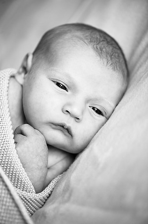 hertfordshire-newborn-photographer93