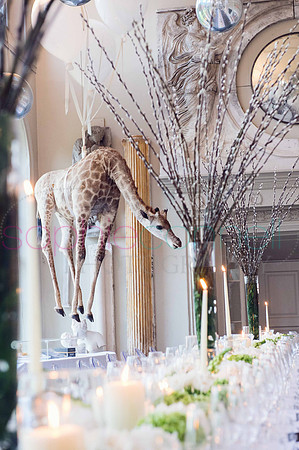 london- event-photographer22