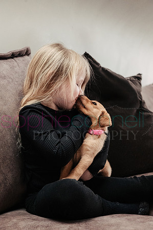 hertfordshire - dog - photographer6