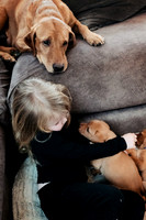 hertfordshire - dog - photographer5