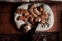 hertfordshire - dog - photographer11