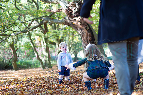 chapmanautumn180491