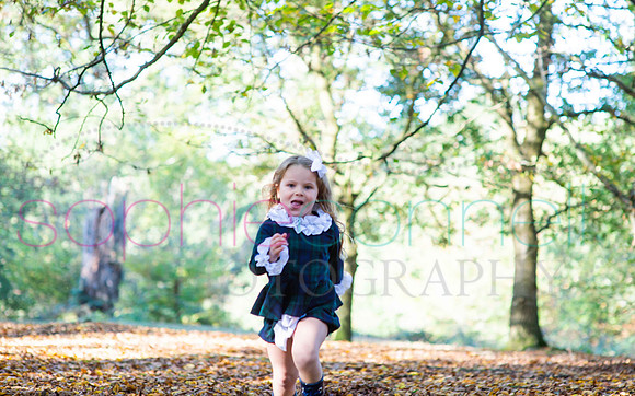 chapmanautumn180155