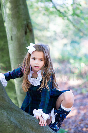 chapmanautumn180233