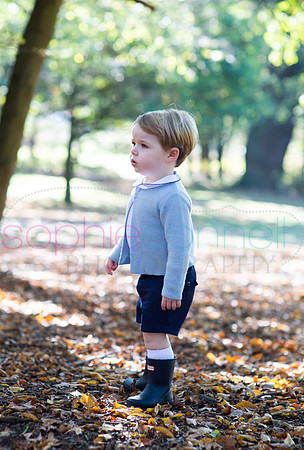 chapmanautumn180191