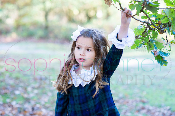 chapmanautumn180039