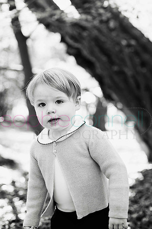 chapmanautumn180226