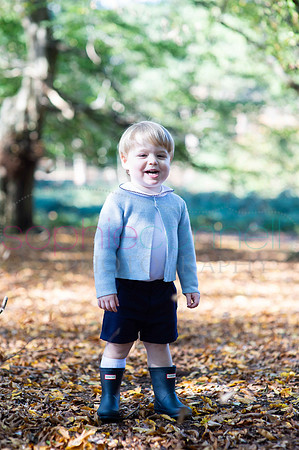 chapmanautumn180481