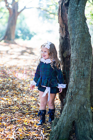 chapmanautumn180455