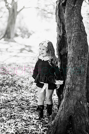 chapmanautumn180456