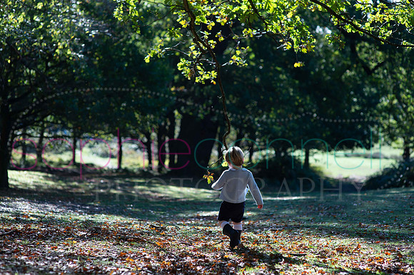 chapmanautumn180203