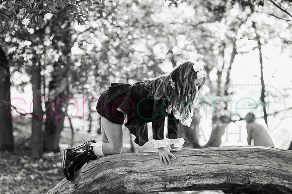 chapmanautumn180352