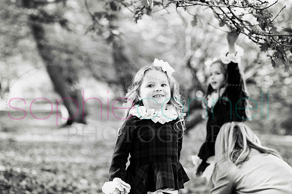 chapmanautumn180038
