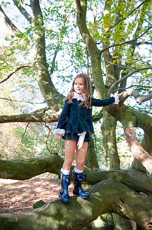 chapmanautumn180245