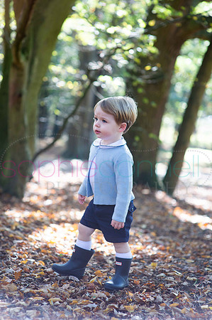 chapmanautumn180193