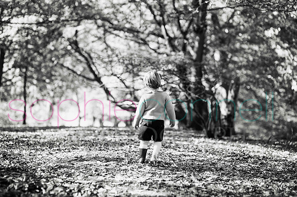 chapmanautumn180160