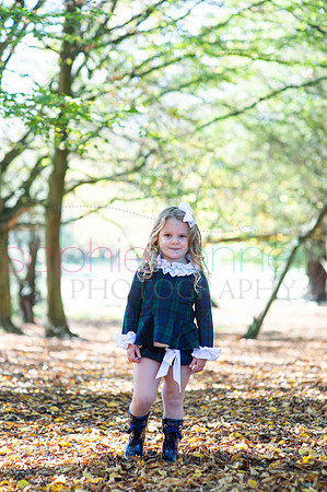 chapmanautumn180487