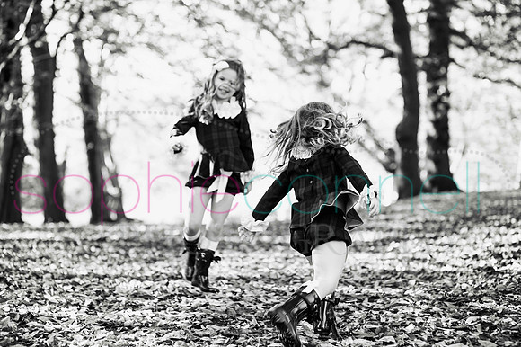 chapmanautumn180130
