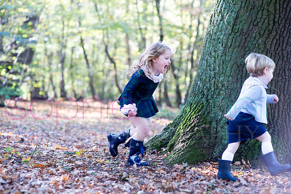 chapmanautumn180059
