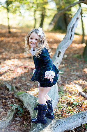 chapmanautumn180393