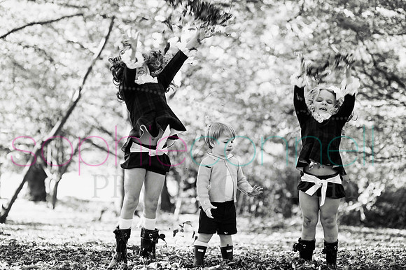 chapmanautumn180504