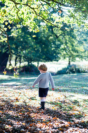 chapmanautumn180201