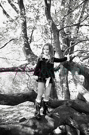 chapmanautumn180246