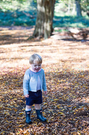 chapmanautumn180469