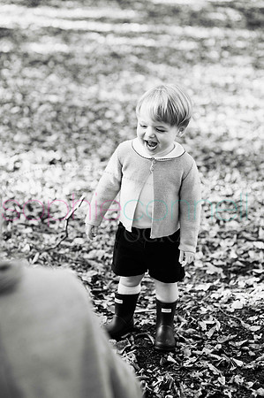 chapmanautumn180476