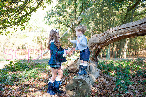 chapmanautumn180381