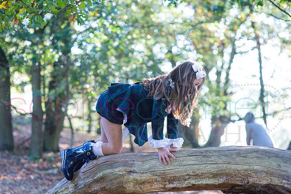 chapmanautumn180351