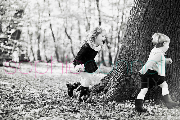 chapmanautumn180060