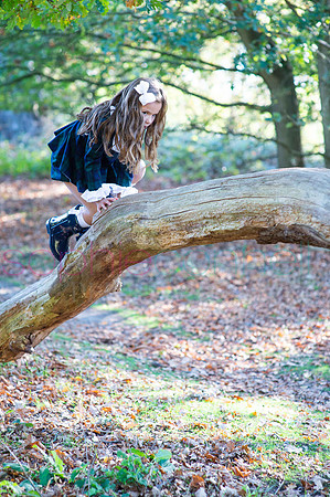 chapmanautumn180349