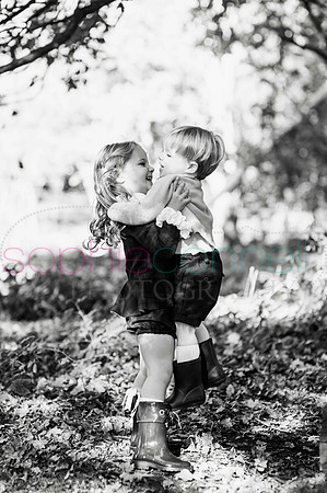 chapmanautumn180376