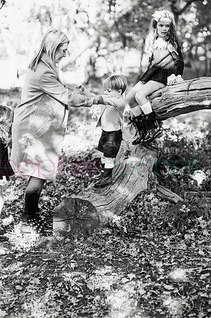 chapmanautumn180368