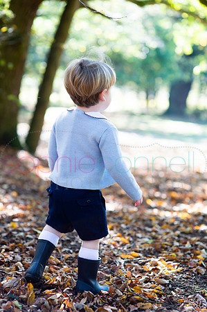 chapmanautumn180189