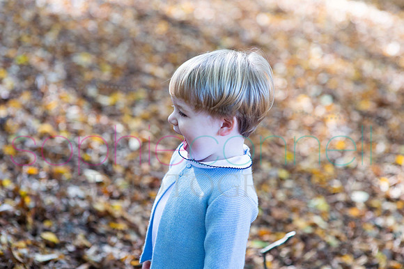 chapmanautumn180471