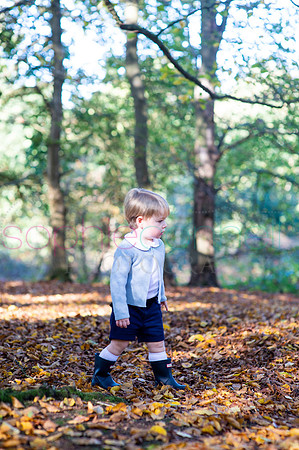 chapmanautumn180157