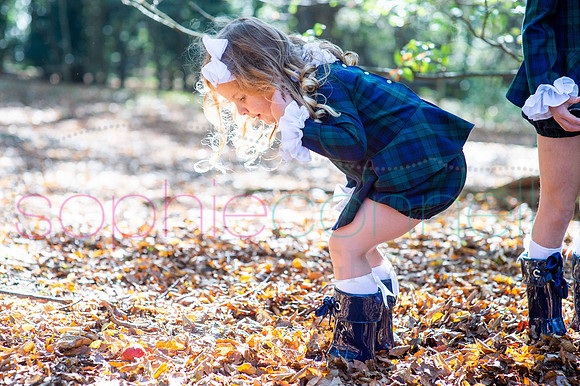 chapmanautumn180227