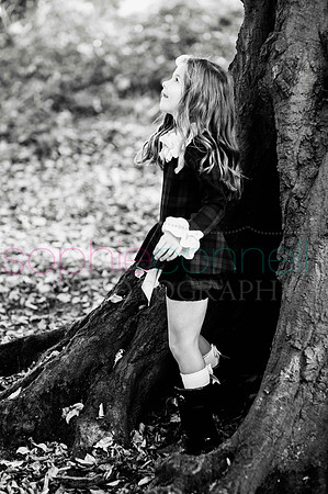 chapmanautumn180462
