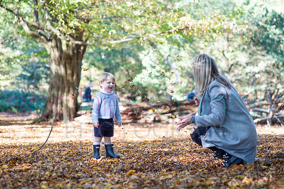 chapmanautumn180467